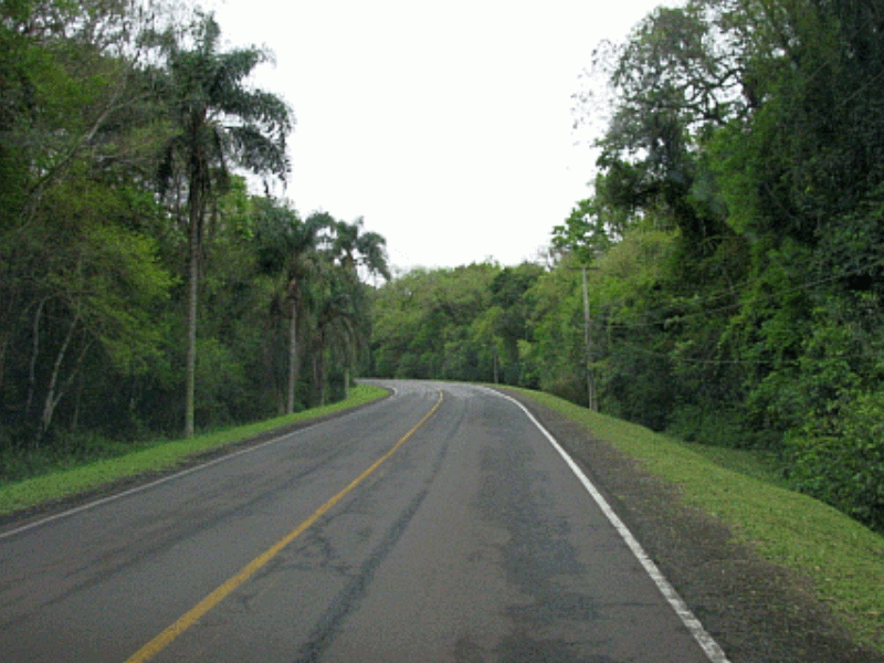 Conservação Rodoviária BR-469 BR-277_1